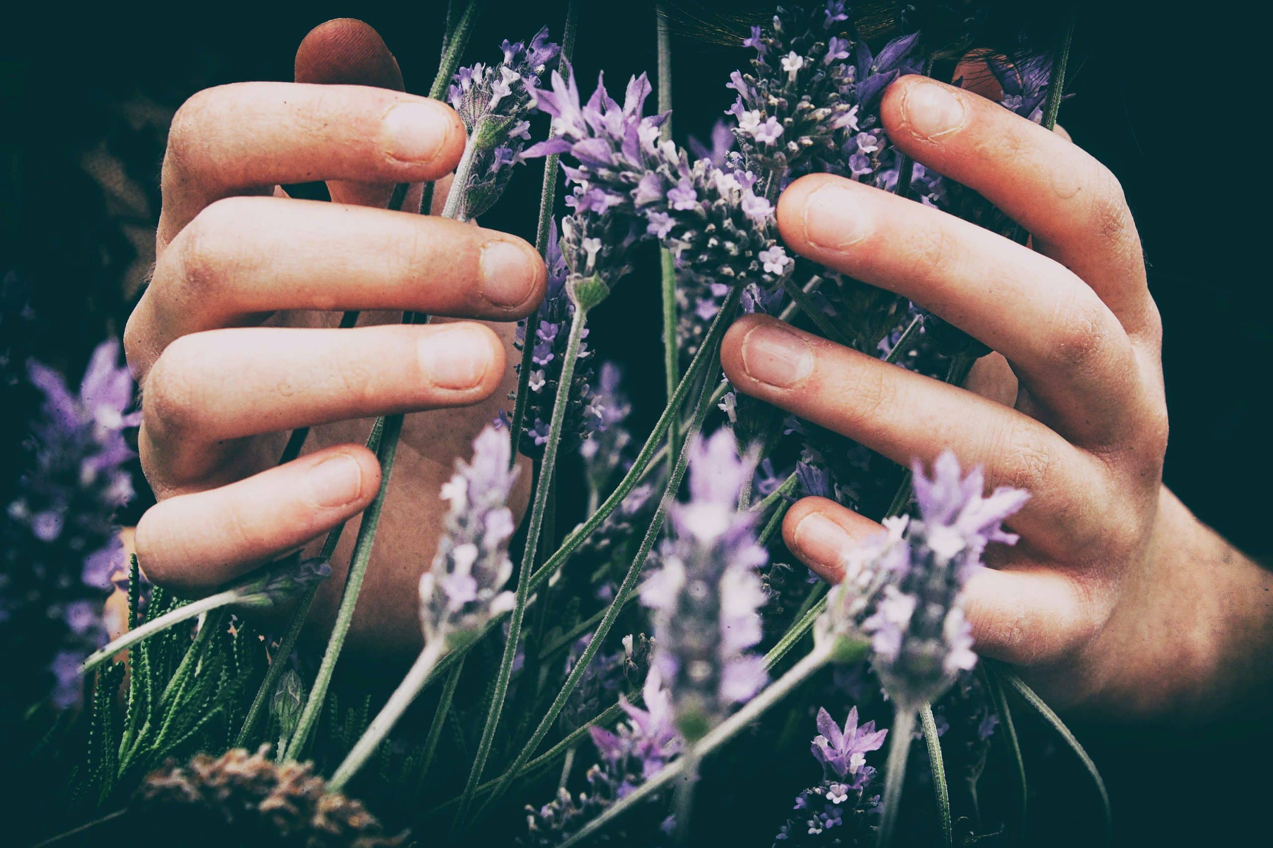reciprocity psychology